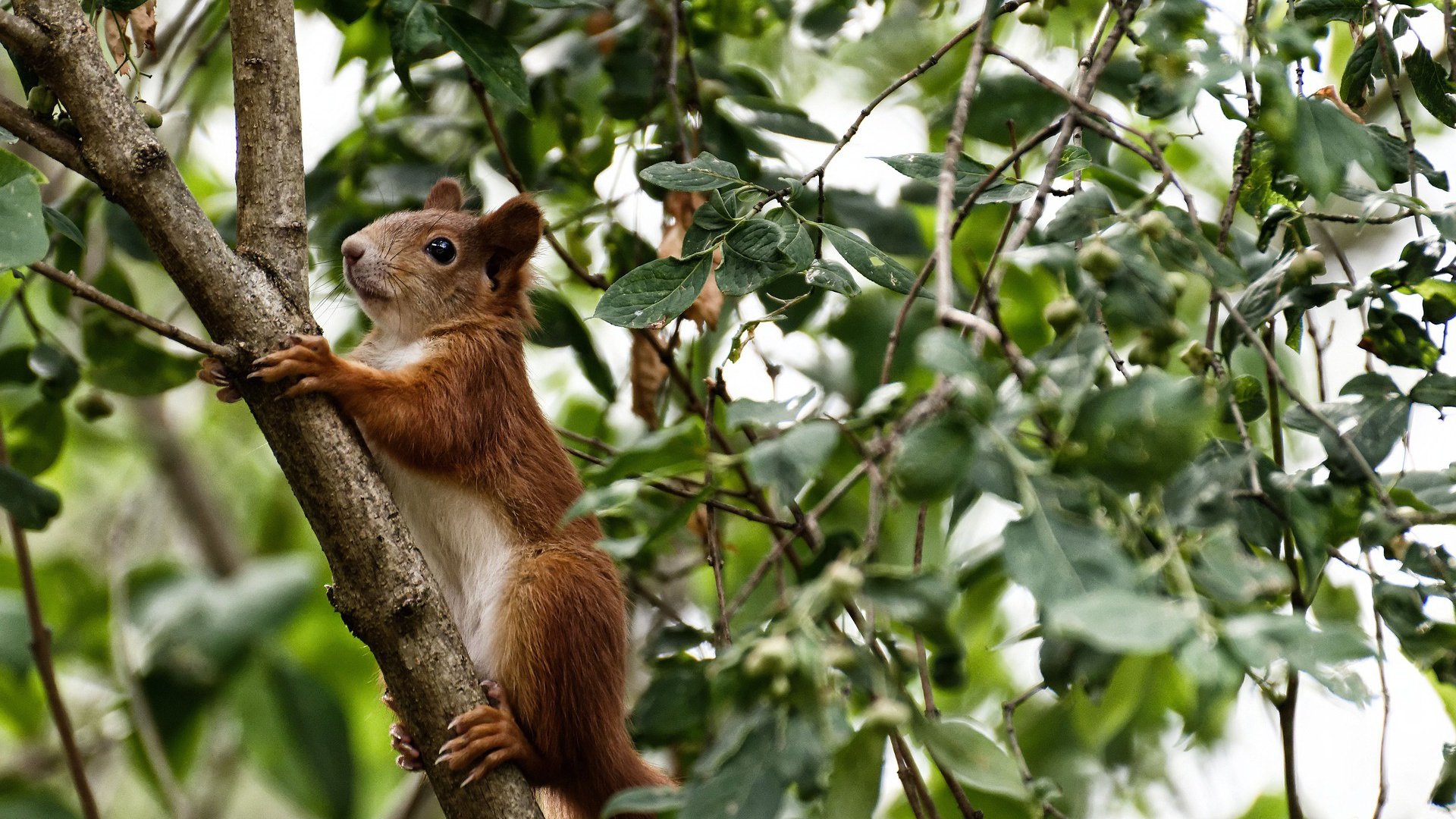 网络通信原理书籍哪本好一点（网络通信原理书籍哪本好一点呢）