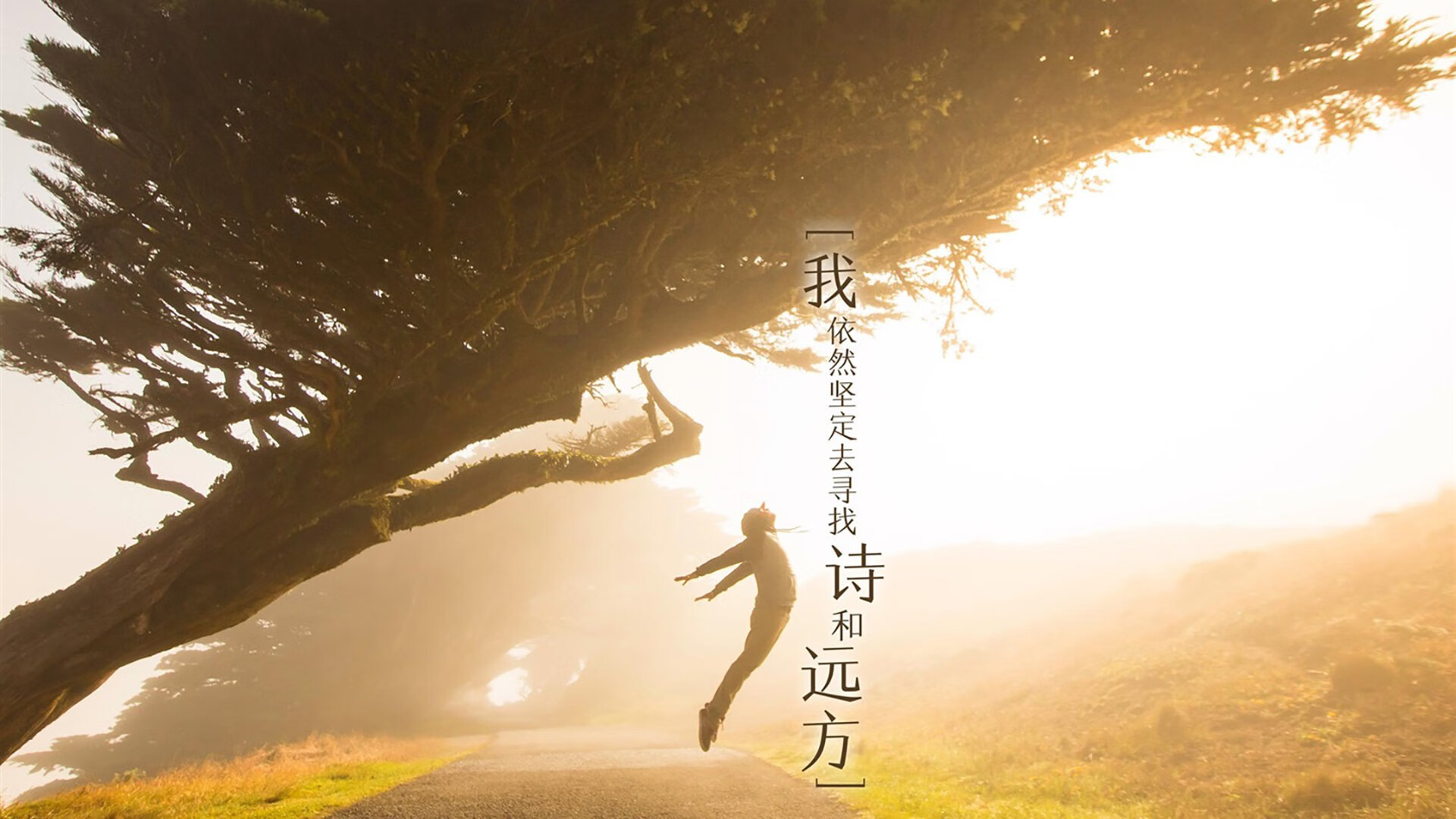 属于网络通信软件的有（网络通信设备属于硬件吗）