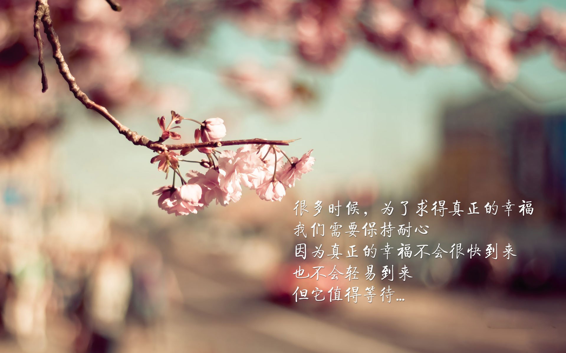 网络通信有哪些问题可以解决（网络通信三个条件）